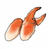 カニ肉の素材画像