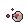 クリムゾン子嚢菌の種
