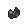 ネギの種