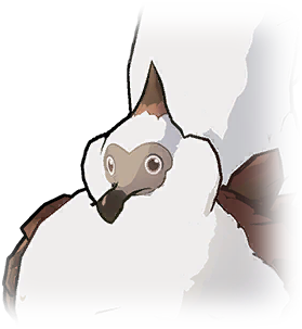 ドゥルのキボ画像
