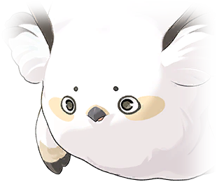 伝書スズメのキボ画像