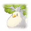 キャバード（菜鸡）のキボ画像