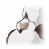嘟噜のキボ画像