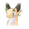 库库尔のキボ画像