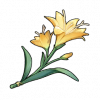金露花の画像