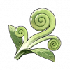 ニャオヒゲ草（喵须草）の画像