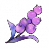 薫影草（薰影草）の画像