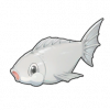 米魚（米鱼）の画像