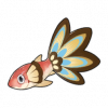 雀尾魚（雀尾鱼）の画像