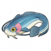 丸ナマズ（圆鲶）の画像
