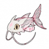玻璃猫魚（玻璃猫鱼）の画像