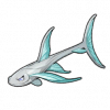 攀瀑魚（攀瀑鱼）の画像