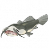 囧囧魚（囧囧鱼）の画像