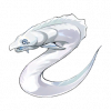 雪銀魚（雪银鱼）の画像